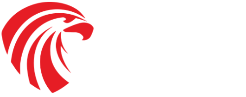 Falconheitoezicht